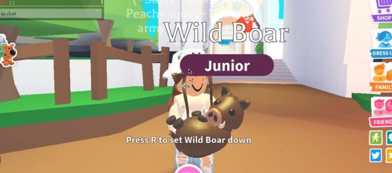 adopt me how much is a wild boar worth