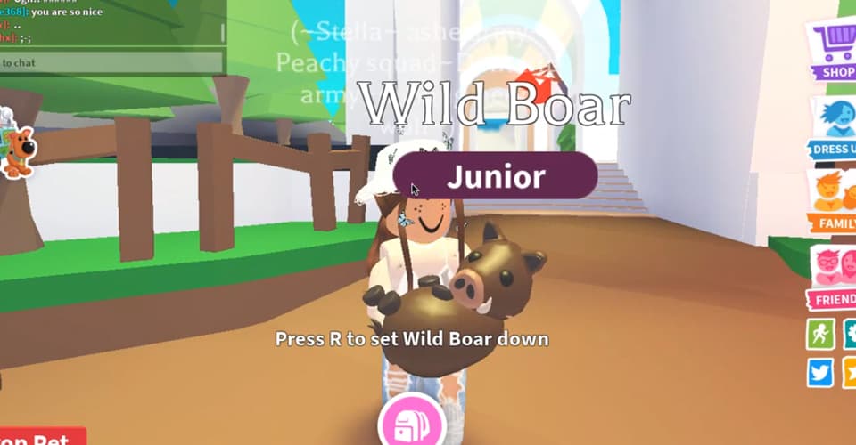 Adopt Me: How Much is a Wild Boar Worth