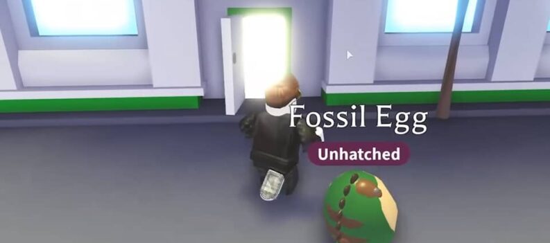 adopt me how to hatch an egg