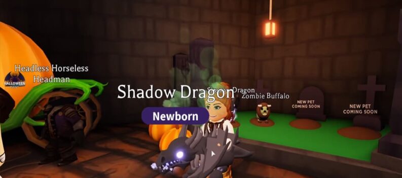 how much is a shadow dragon worth adopt me