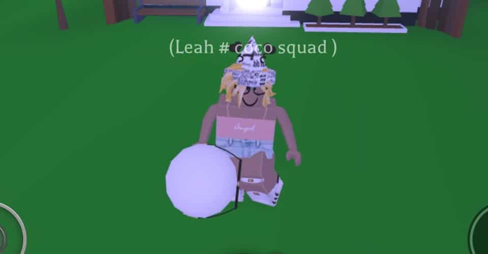 Adopt Me: How Much is Marsh Plush Worth