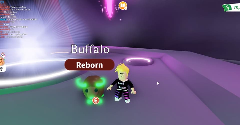 Adopt Me: How Rare is the Buffalo Pet