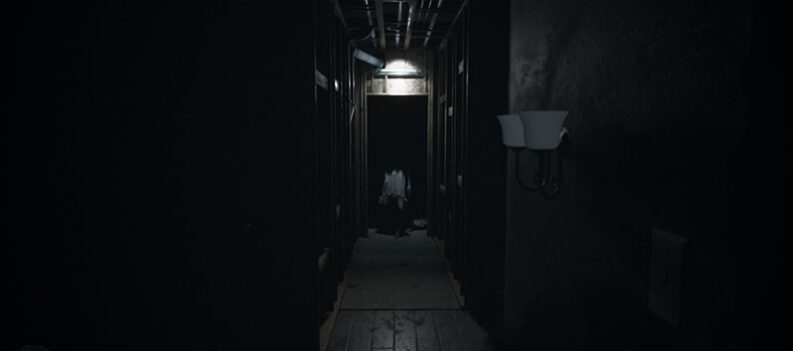 is it possible to play visage on a mac