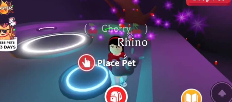 how much is the rhino worth adopt me