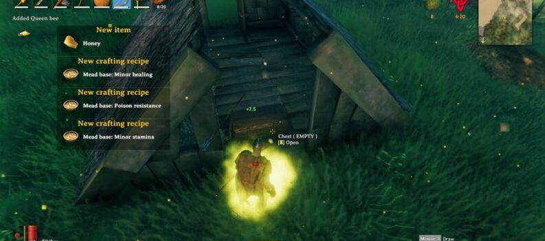 how to find more beehives valheim