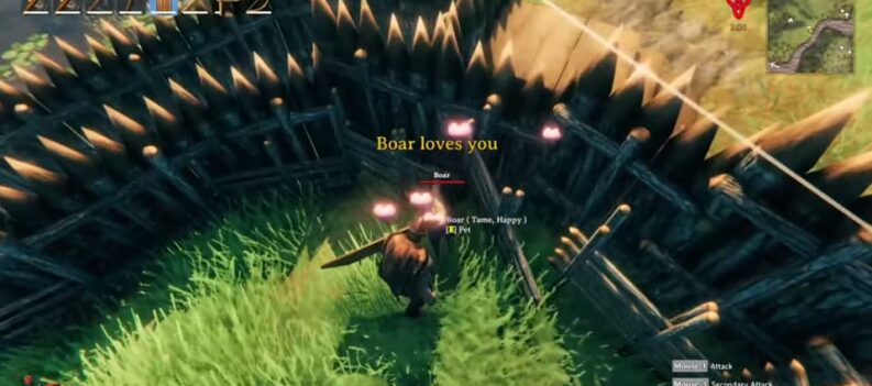 how to tame breed boars valheim