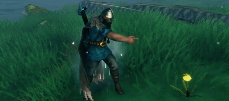 valheim how to emote