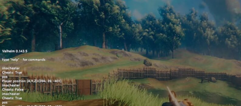 valheim how to find your map coordinates