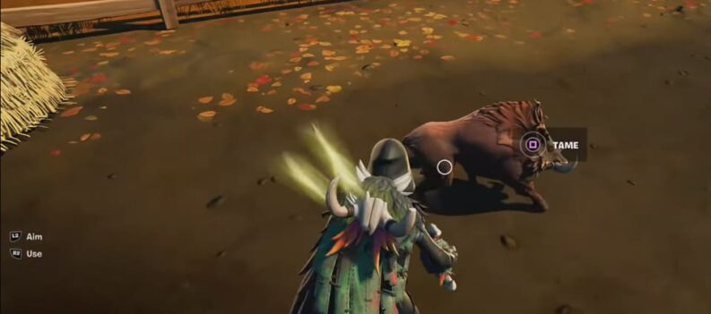 fortnite how to tame a boar