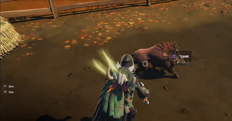 Fortnite: How to Tame a Boar