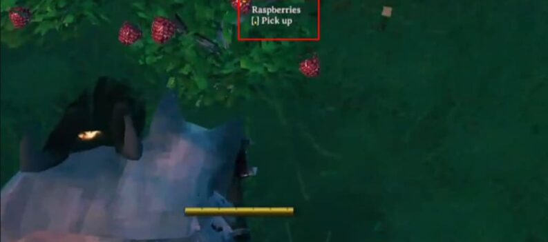valheim how to spawn a blueberry or raspberry bush