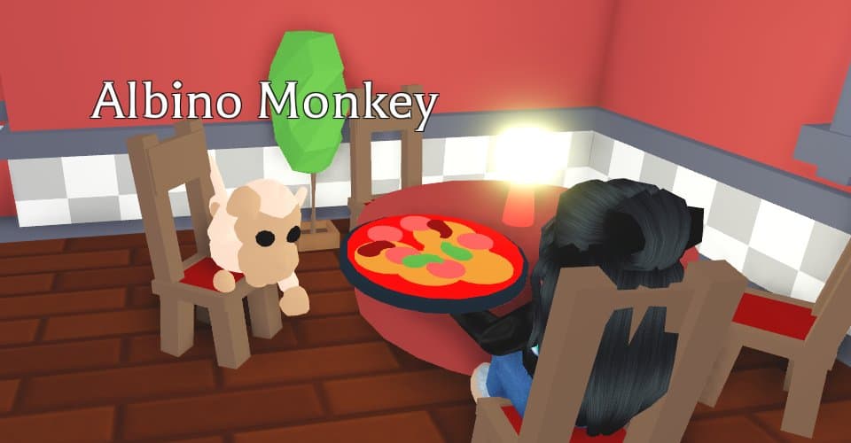 how much is the albino monkey worth