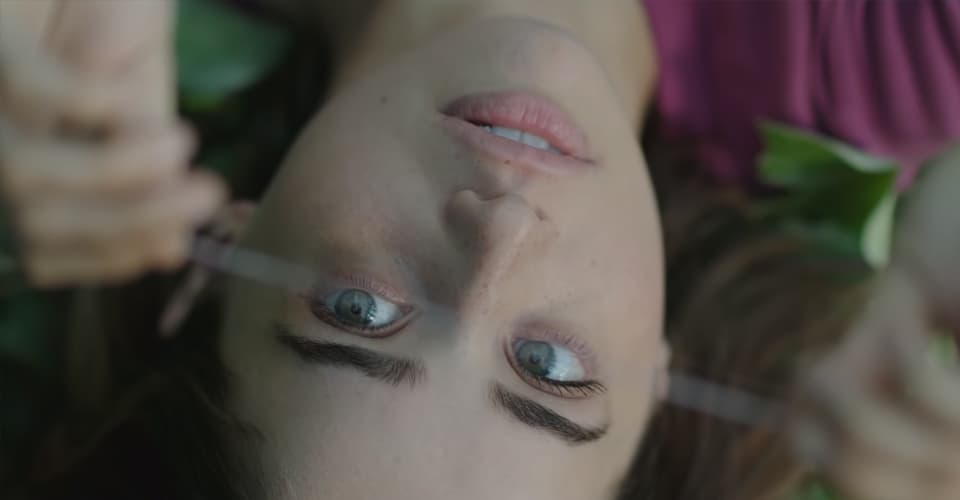 Can You Play Erica on a Mac