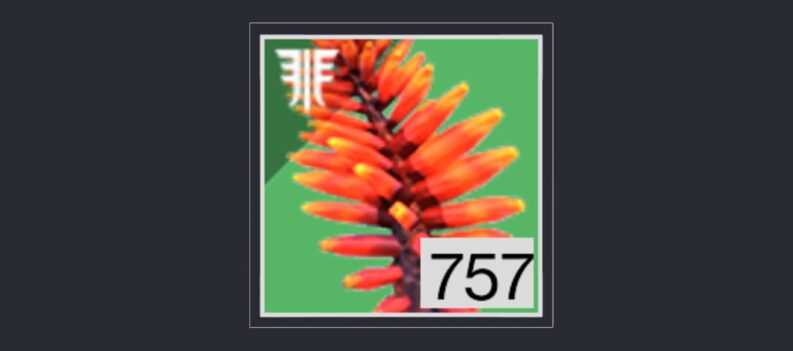 How to get Etheric Spiral in Destiny 2