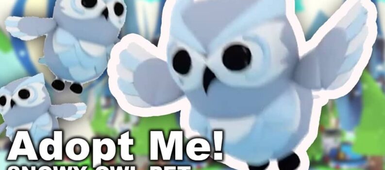 adopt me how much is a snow owl worth