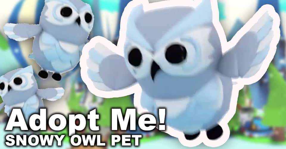 adopt me how much is a snow owl worth