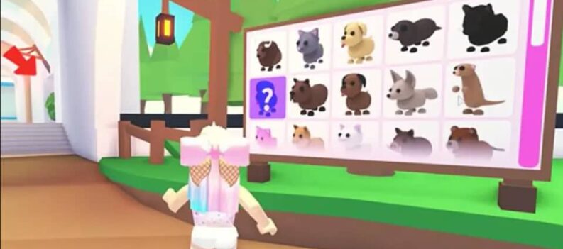 how to get your dream pet adopt me