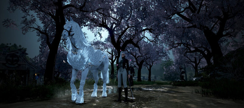 Black Desert How to Get a Horse