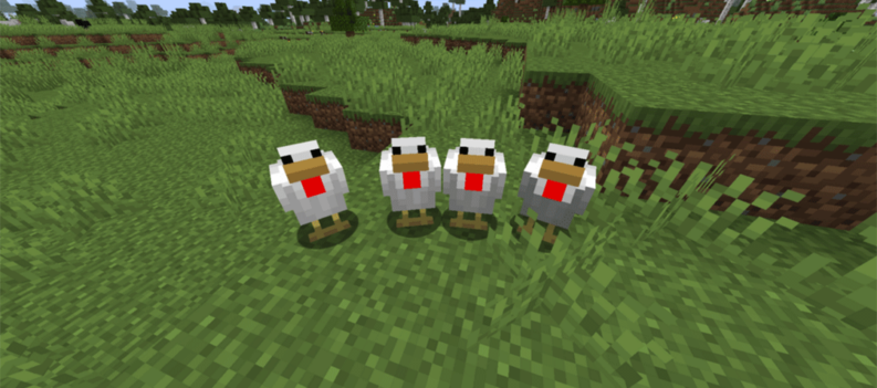 Hypixel How to Get Eggs