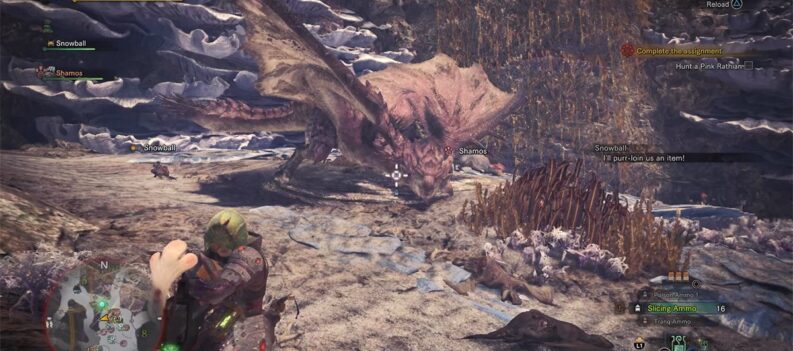Monster Hunter World