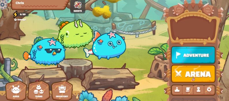 252916629 1604025739940200 7667786770135113010 n