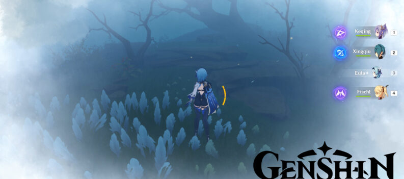 unlock tsurumi feat img