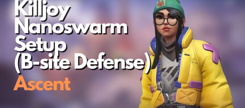 Killjoy Nanoswarm Setup