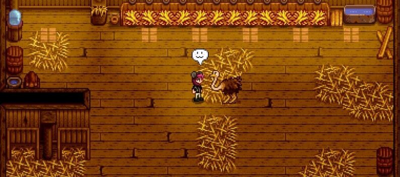 Ostriches FeaturedImg3