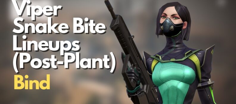 Viper Snake Bite Lineups 1