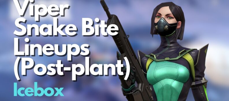 Viper Snake Bite Lineups 2