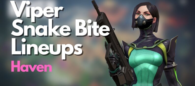 Viper Snake Bite Lineups on Haven
