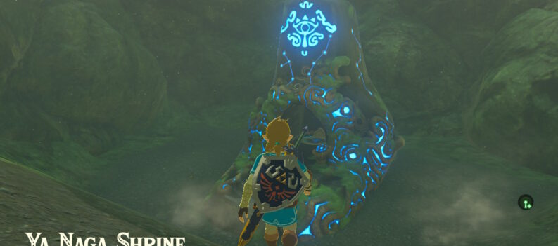 2022021512485300 F1C11A22FAEE3B82F21B330E1B786A39