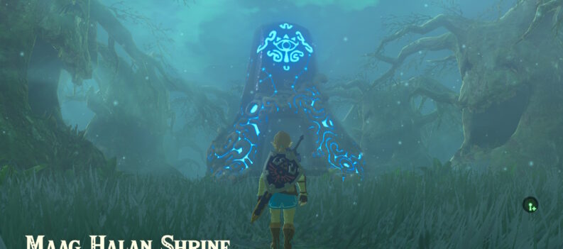 2022032912522600 F1C11A22FAEE3B82F21B330E1B786A39