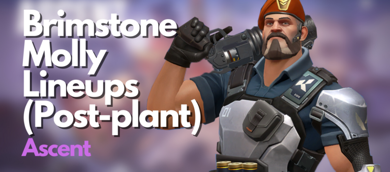 Brimstone Molly Lineups Post plant