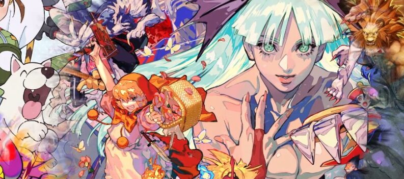 14 Capcom Fighting Collection Morrigan