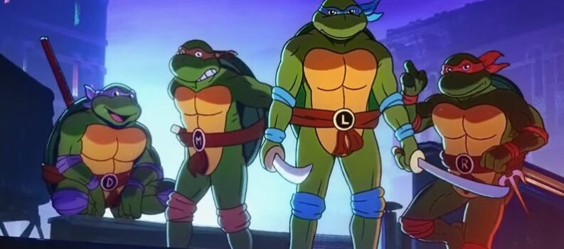 18 TMNT Shredders Revenge