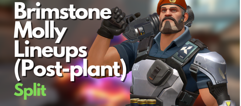 Brimstone Molly Lineups Post plant