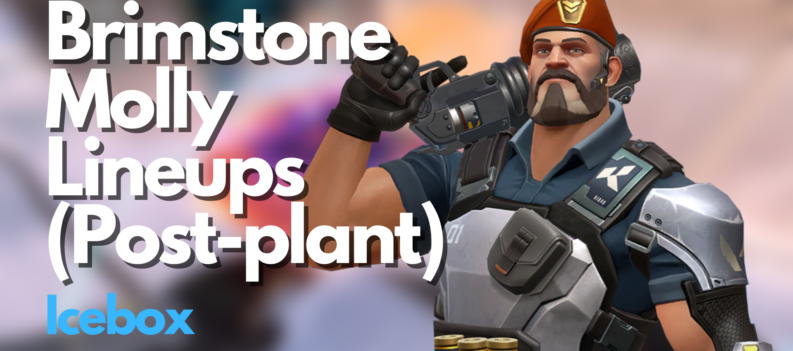 Brimstone Molly Lineups on Icebox Post plant