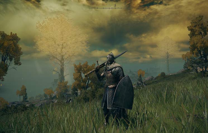 Elden Ring Vagabond Best Beginner Classes