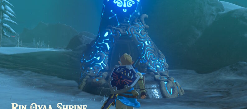 2022053113295400 F1C11A22FAEE3B82F21B330E1B786A39