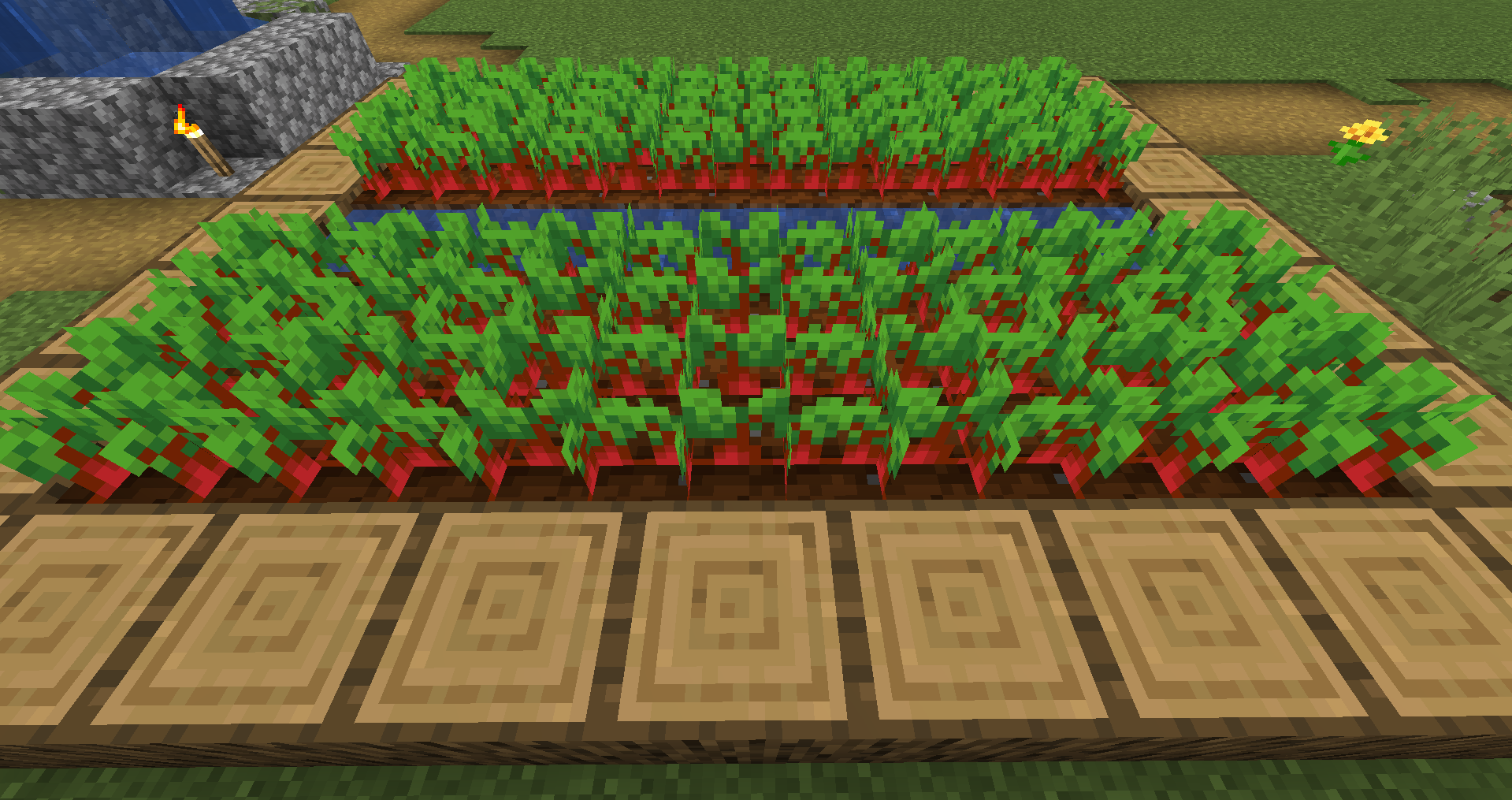 How To Use Beetroot in Minecraft