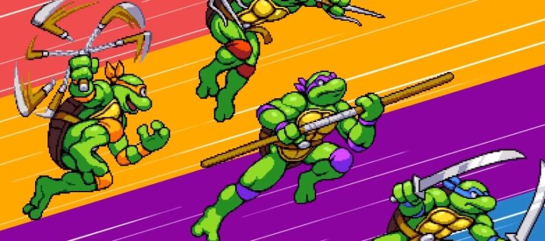 17 TMNT Shredders Revenge