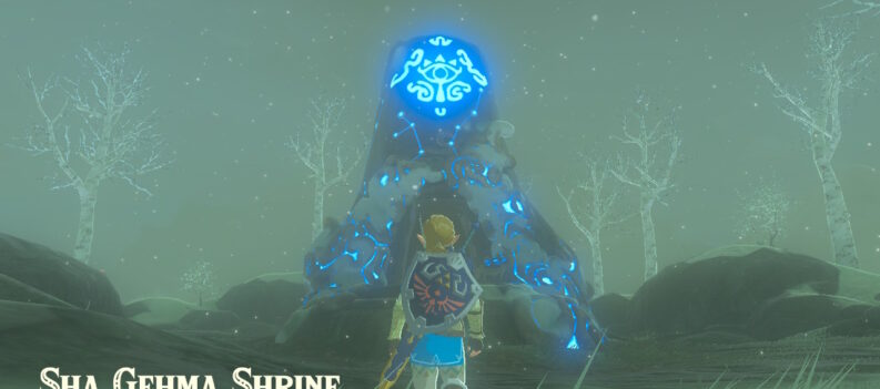 2022060112202300 F1C11A22FAEE3B82F21B330E1B786A39