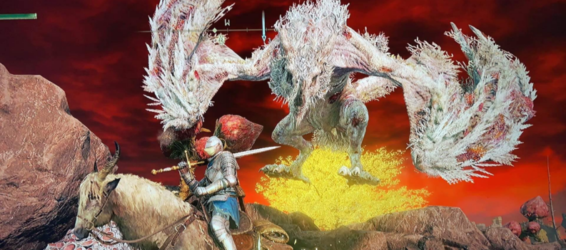 Beat Decaying Ekzykes in Elden Ring