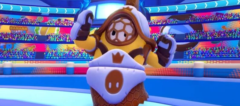 15 Fall Guys Idol Game