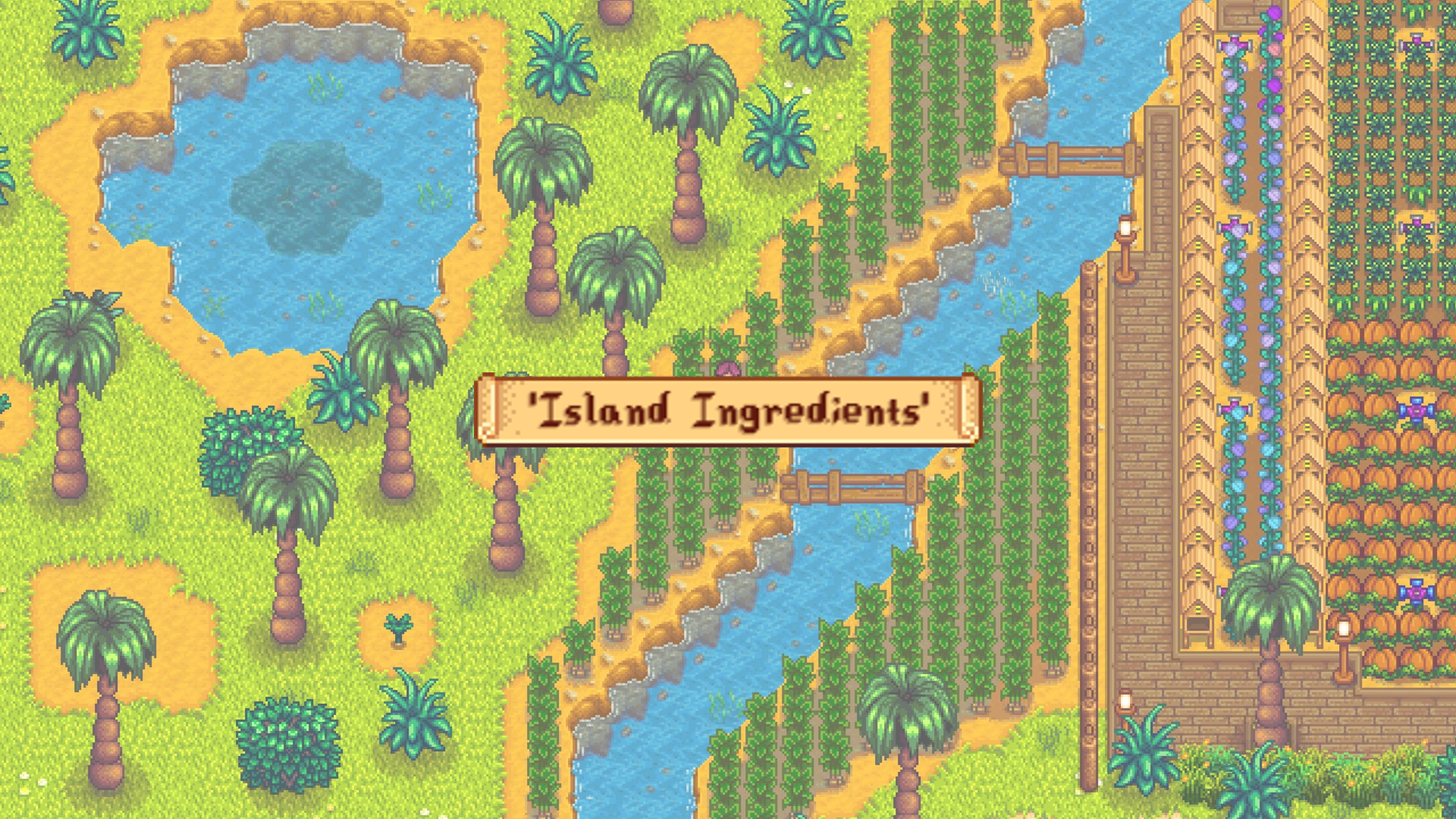 IslandIng FeaturedImg