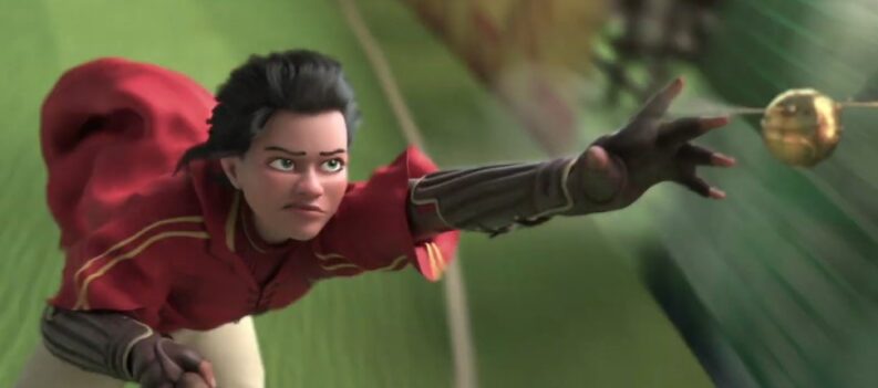 04 HP Hogwarts Mystery Quidditch