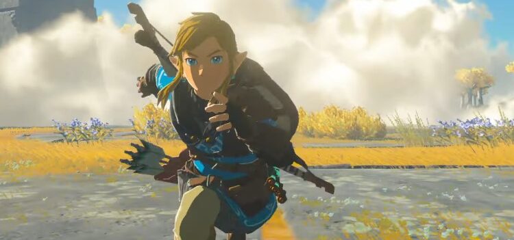 14 The Legend of Zelda Link Tears of the Kingdom