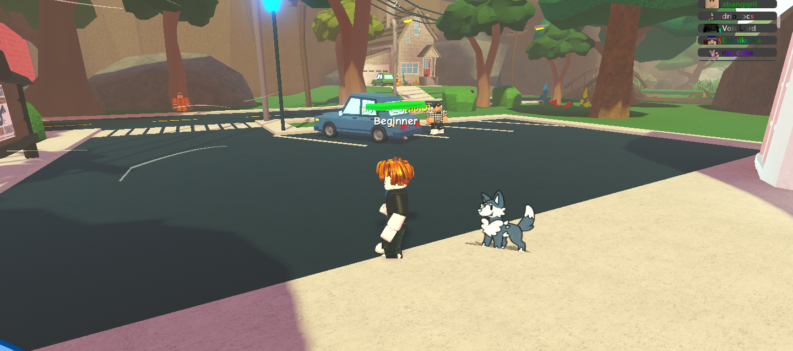 fRobloxScreenShot20221118 105529517