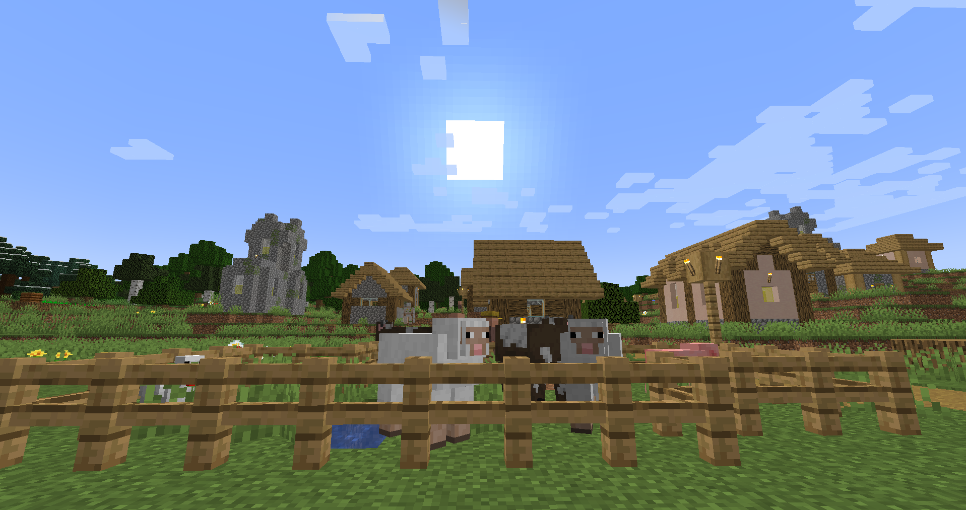 Top 5 Mobs To Farm in Minecraft